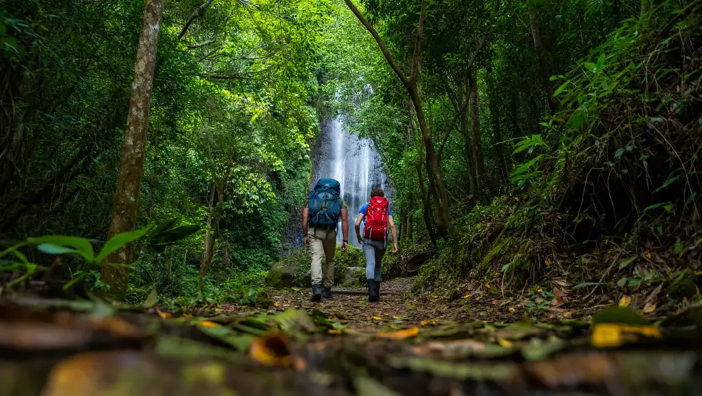 Hikers exploring a lush green forest path near a tropical waterfall.