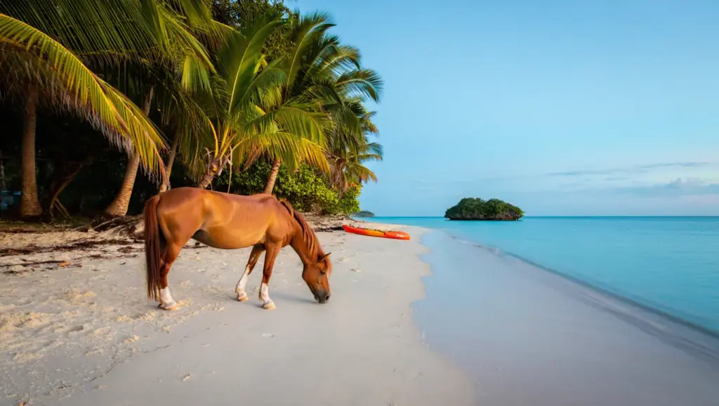 Secluded beach on Vieques or Culebra with wild horses and bioluminescent bay at dusk