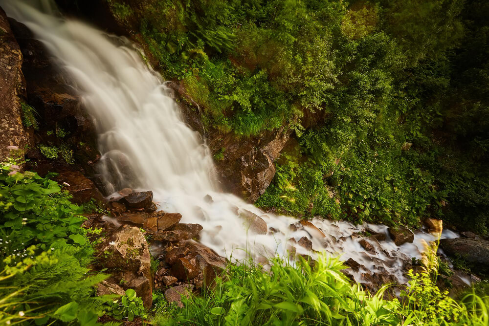 Exploring El Yunque: Best Activities and Sights Near Your Stay 