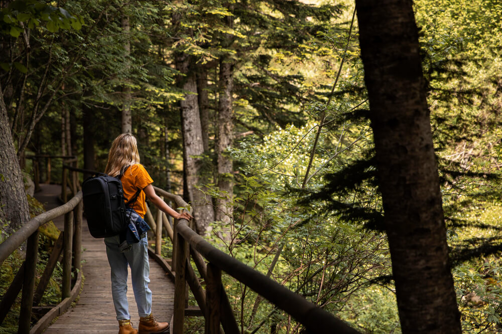 A Traveler’s Guide to the El Yunque Rain Forest Area