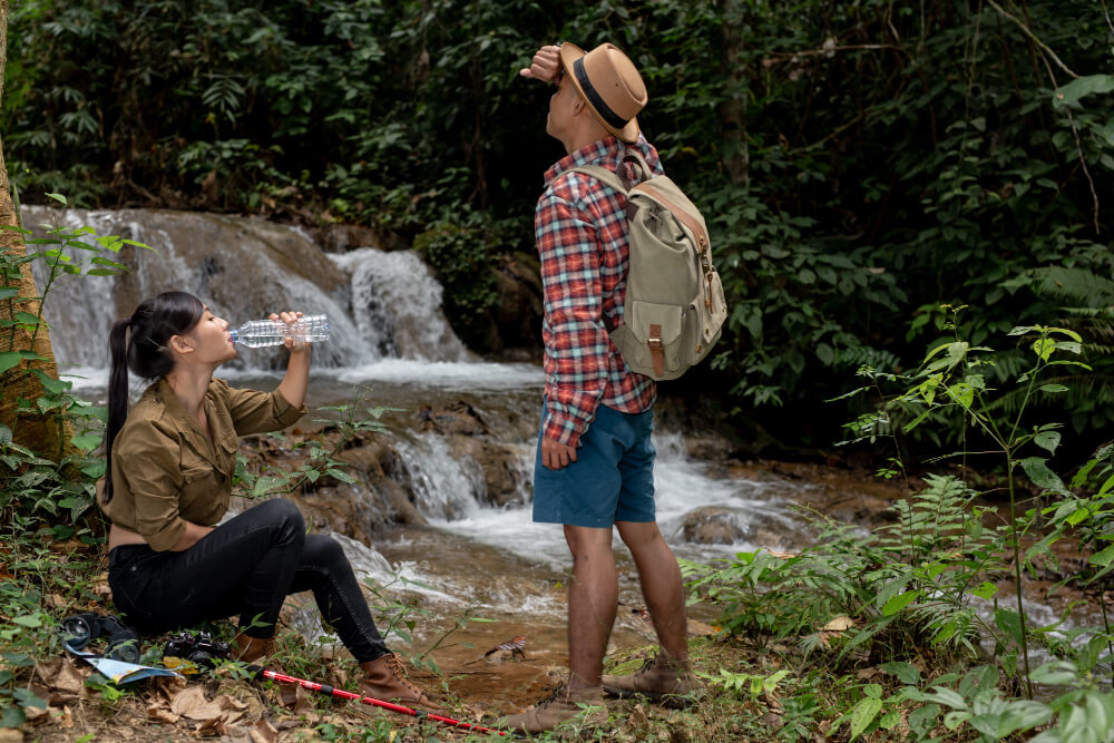 El Yunque Rain Forest Area